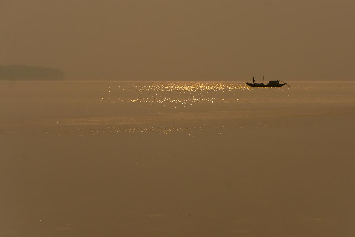 Sundarbans landscape